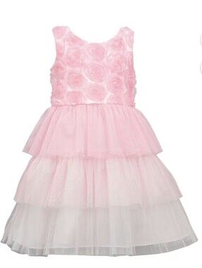 NWT Bonnie Jean Girls Pink Rose Party Dress 6x